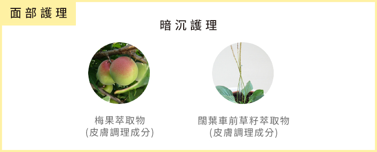 面部護理
